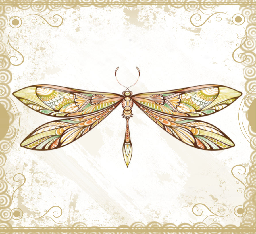 Grateful, and Excited For the Possibilities!